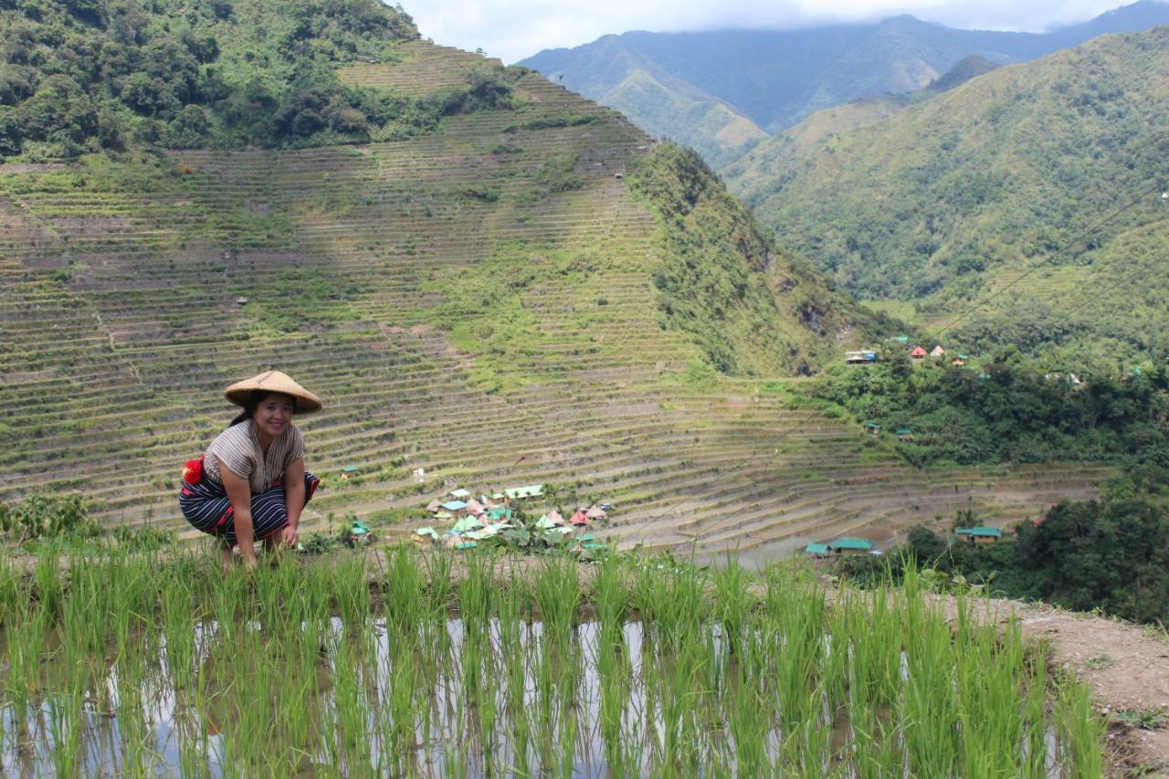 Batad Transient House Hotel Banaue Exterior photo